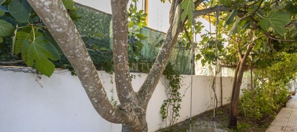 4 bedrooms House in Seixal, Portugal No. 126118 13