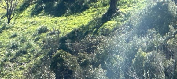 5 غرف نوم فيلا في Cicerale, Italy رقم 81526 5