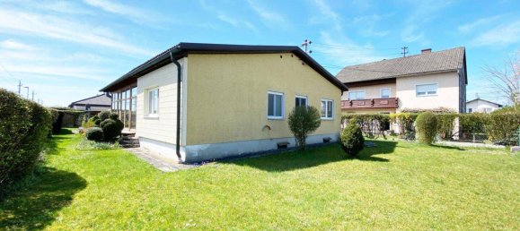 4 rooms Bungalow in Gunskirchen, Austria No. 165786 8