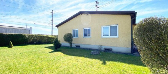 4 rooms Bungalow in Gunskirchen, Austria No. 165786 9