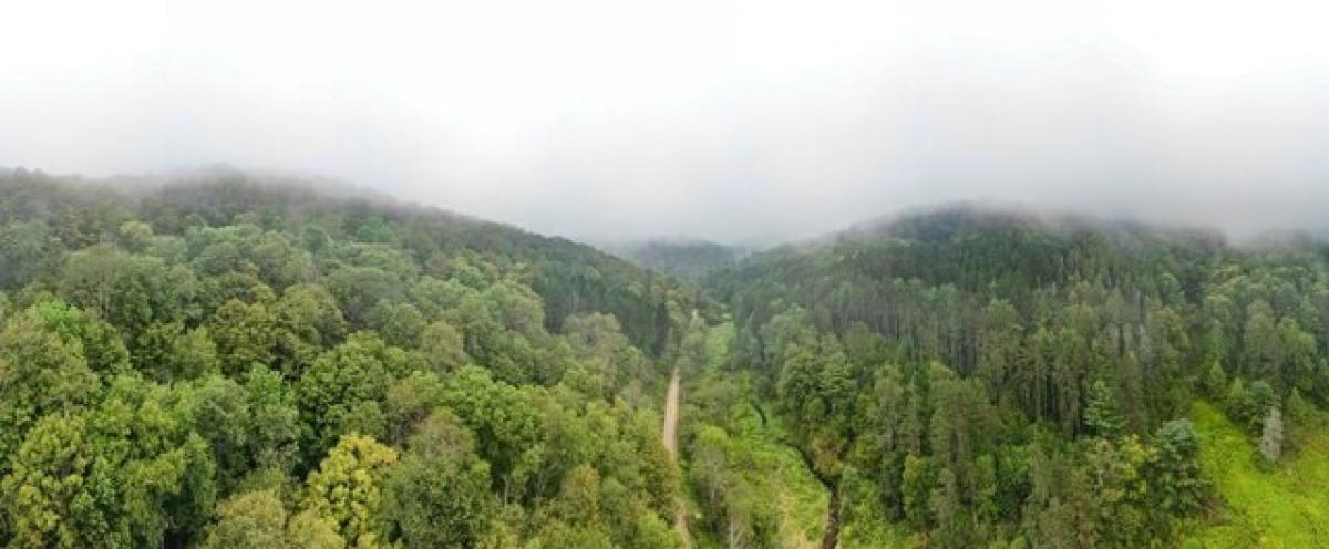  Land in Galeton, USA No. 482297