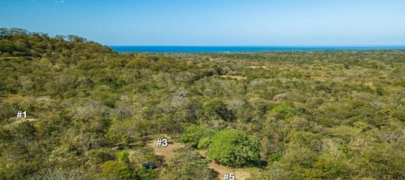 Terrain à Santa Cruz, Costa Rica No. 1877 4