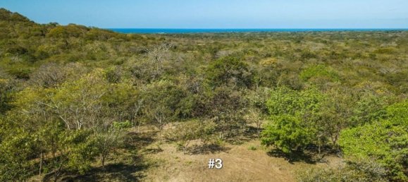 Terrain à Santa Cruz, Costa Rica No. 1877 6