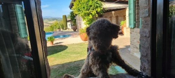 4 bedrooms House in Marche, Italy No. 332797 5