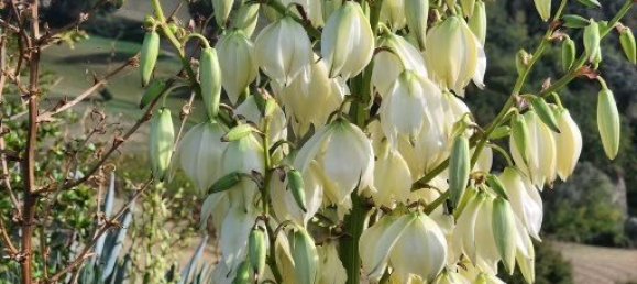 4 bedrooms House in Marche, Italy No. 332797 44