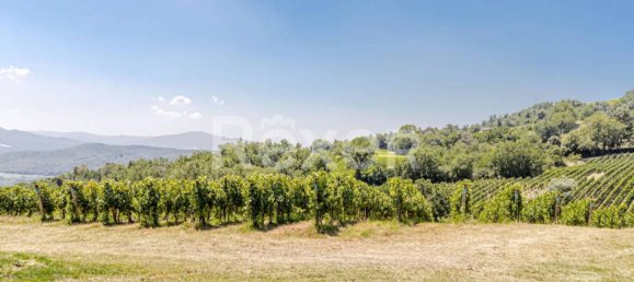 Casa de 6 dormitorios en Montecatini Val di Cecina, Italy No. 349667 19