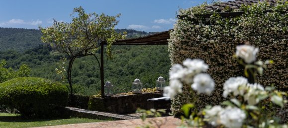 7 bedrooms Castles in Greve in Chianti, Italy No. 60250 31