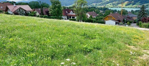  قطعة أرض في Zell am Moos, Austria رقم 237134 4