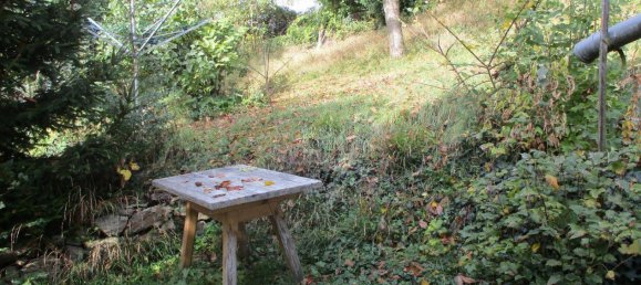 Terrain à Feldkirchen an der Donau, Austria No. 130871 3