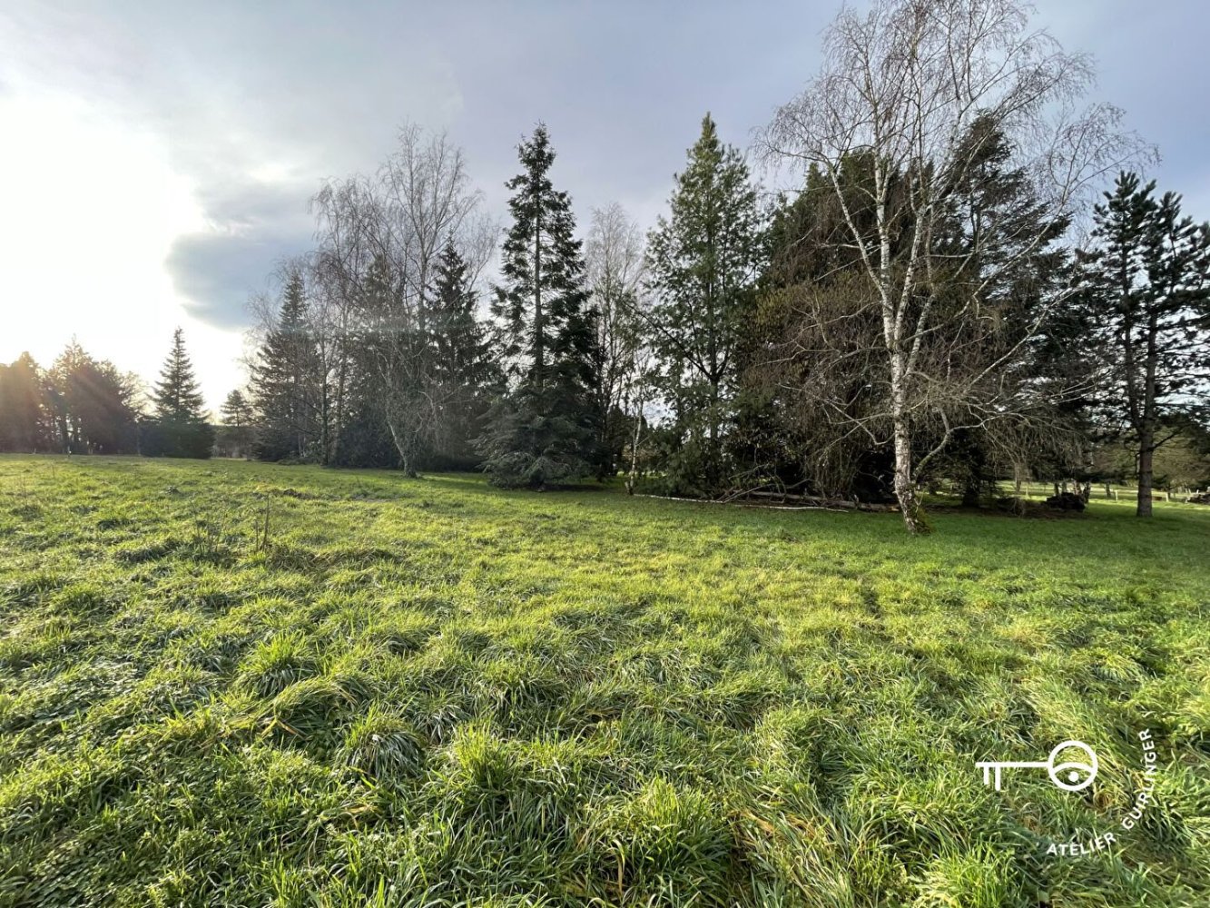 1509m² Land in Montrieux-en-Sologne, France No. 93782