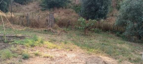 4725m² Land in Rome, Italy No. 281594 8