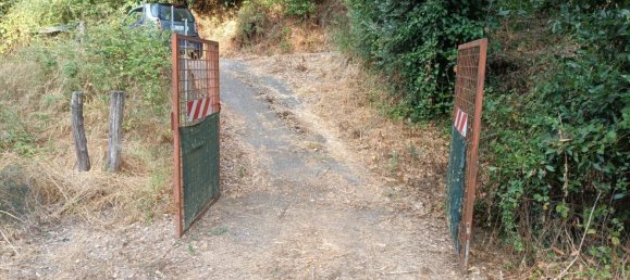 4725m² Land in Rome, Italy No. 281594 9