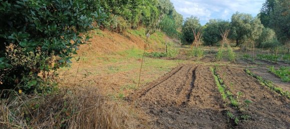 4725m² Land in Rome, Italy No. 281594 3