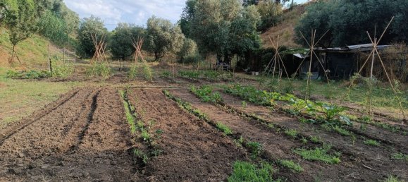 4725m² Land in Rome, Italy No. 281594 2