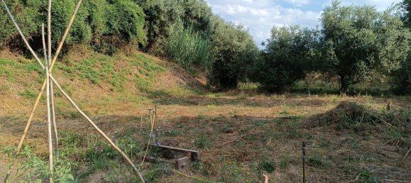 4725m² Land in Rome, Italy No. 281594 4