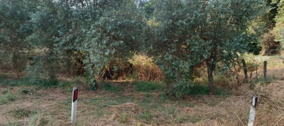 4725m² Land in Rome, Italy No. 281594 6