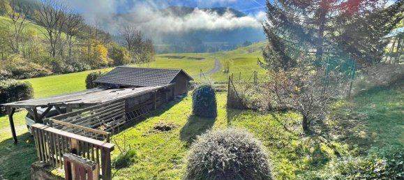 4 غرف نوم منزل في Lorrach, Germany رقم 83483 16