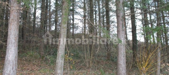 5 chambres Maison à Aulla, Italy No. 204483 10