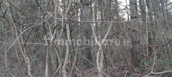 5 chambres Maison à Aulla, Italy No. 204483 31