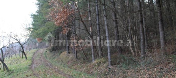 5 chambres Maison à Aulla, Italy No. 204483 11