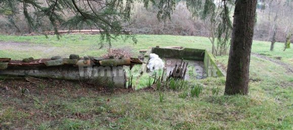 5 chambres Maison à Aulla, Italy No. 204483 9