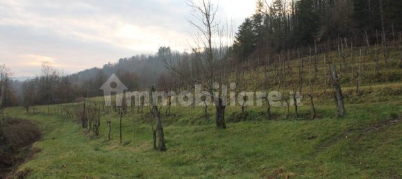 5 chambres Maison à Aulla, Italy No. 204483 4