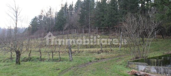 5 chambres Maison à Aulla, Italy No. 204483 5