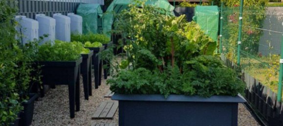 Moradia em banda de 3 divisões em Aachen, Germany N.º 335777 16