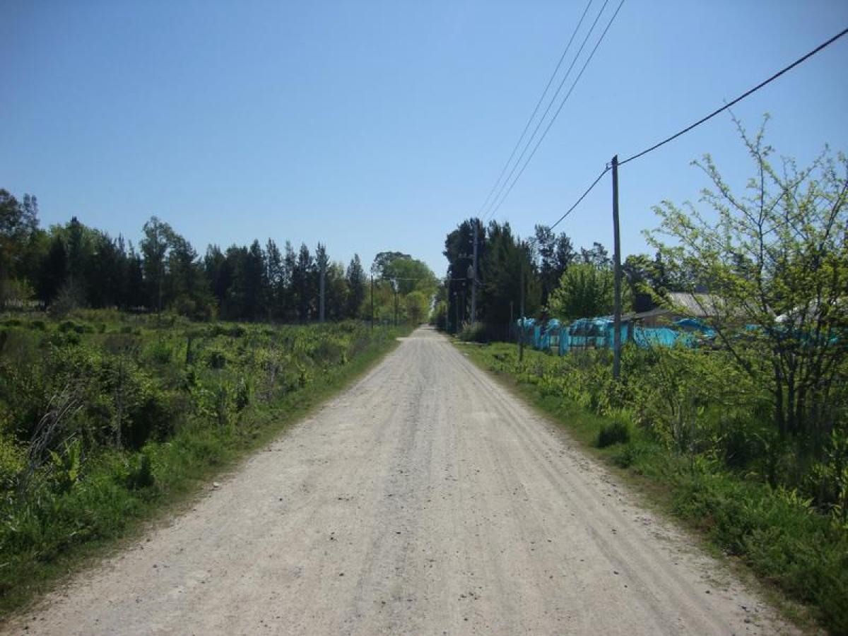  قطعة أرض في Presidente Peron, Argentina رقم 49353