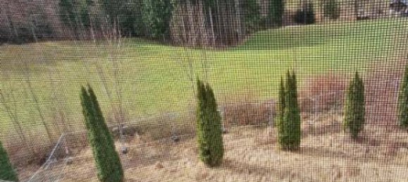 Studio à Windischgarsten, Austria No. 44730 16