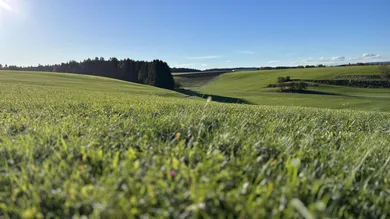  Land in Gampern, Austria No. 195321