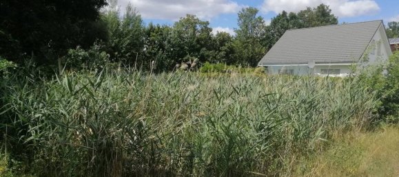 Terreno em Dahme-Spreewald, Germany N.º 82424 2