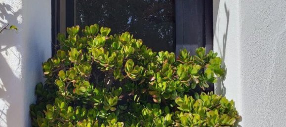 6 bedrooms Villa in Faro, Portugal No. 132370 20