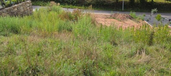 Grundstück in Miltenberg, Germany, Nr. 304883 2