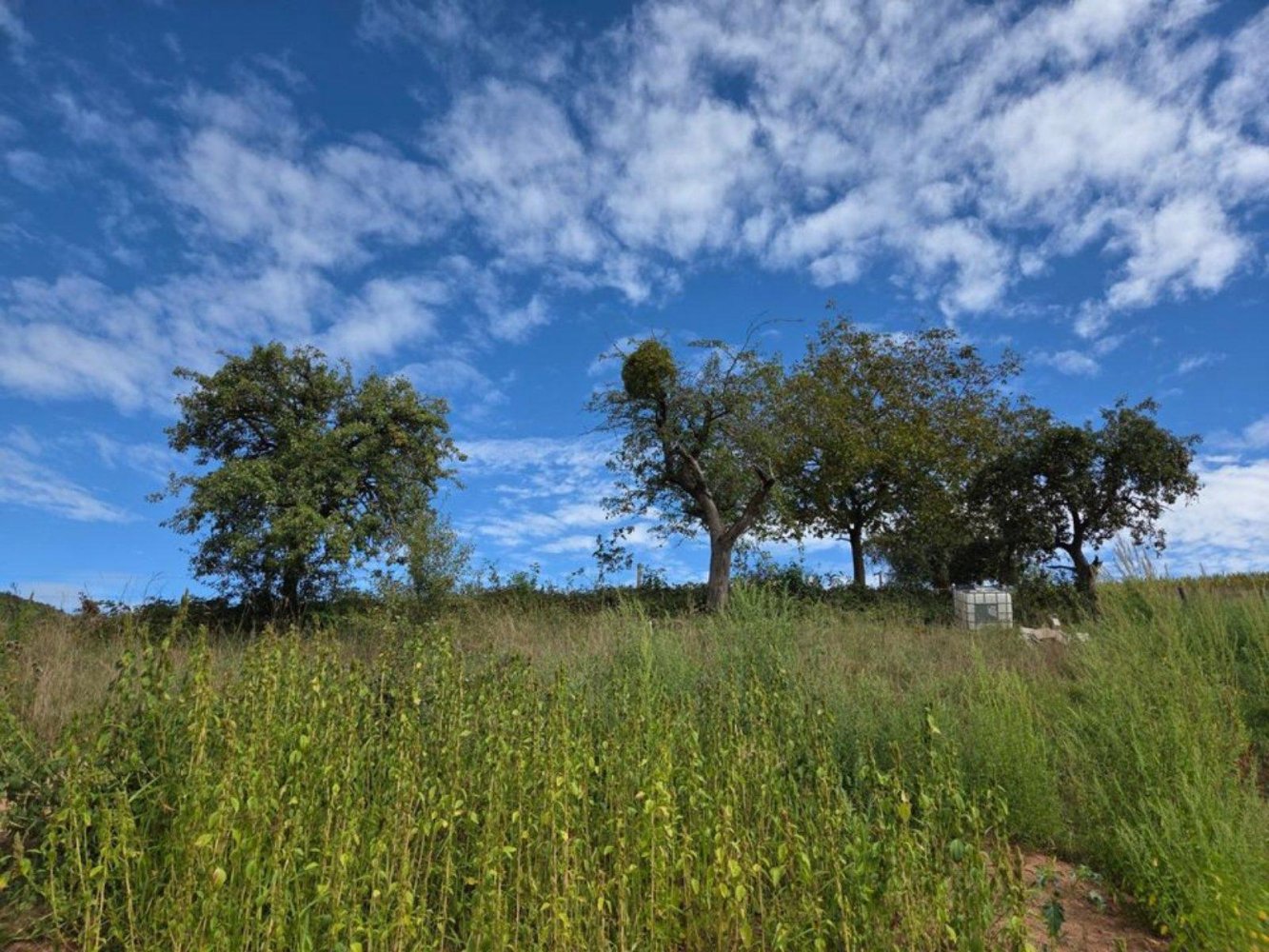 Grundstück in Miltenberg, Germany, Nr. 304883