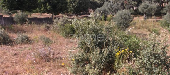  Land in Tomar, Portugal No. 68857 20