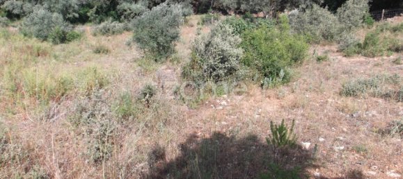  Land in Tomar, Portugal No. 68857 16