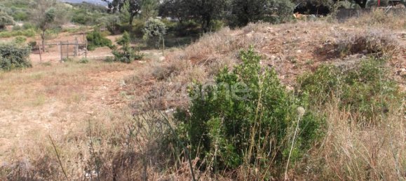  Land in Tomar, Portugal No. 68857 18