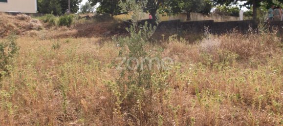  Land in Tomar, Portugal No. 68857 21