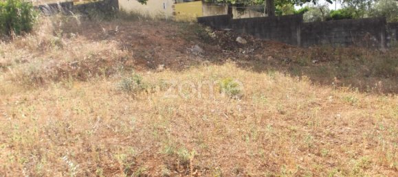  Land in Tomar, Portugal No. 68857 11