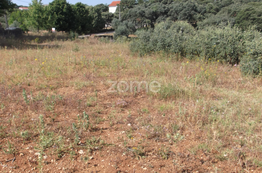 Land in Tomar, Portugal No. 68857
