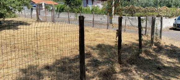 1-salle Terrain à Pedara, Italy No. 137281 4