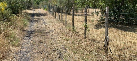 1-salle Terrain à Pedara, Italy No. 137281 5