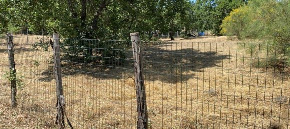 1-salle Terrain à Pedara, Italy No. 137281 2