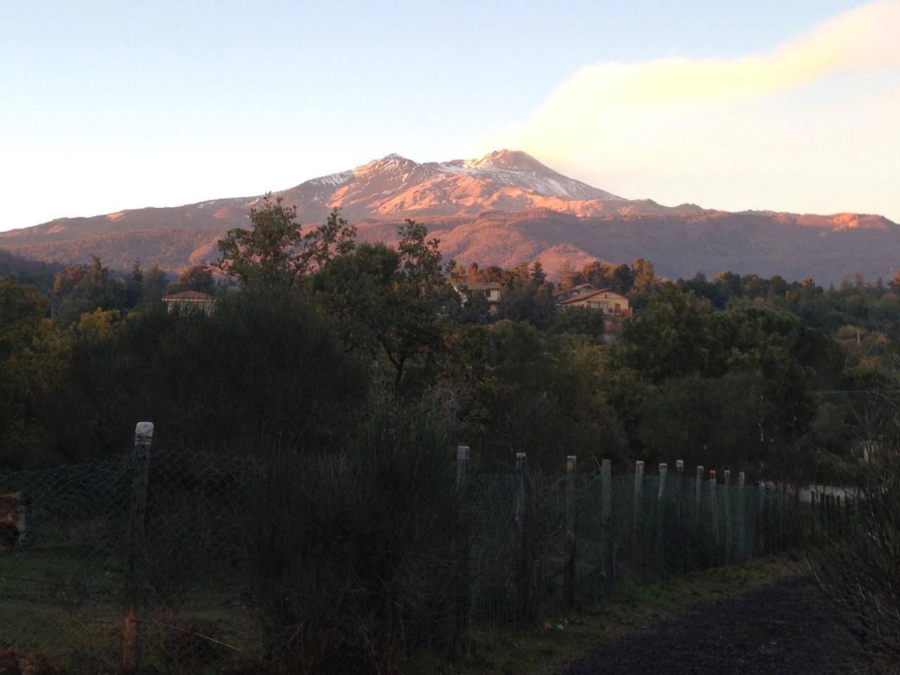 1-salle Terrain à Pedara, Italy No. 137281
