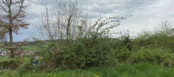 Grundstück in Nordrhein-Westfalen, Germany, Nr. 137309 6