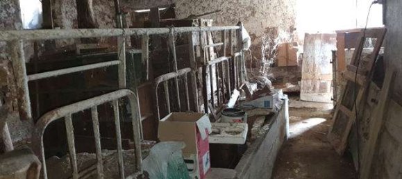 5 rooms House in Bad Mergentheim, Germany No. 46974 29