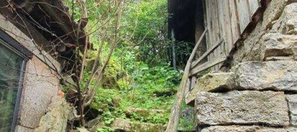 5 rooms House in Bad Mergentheim, Germany No. 46974 22