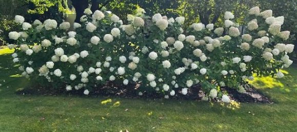 3 chambres Maison à Lubeck, Germany No. 290311 25