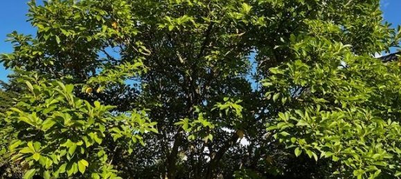 3 chambres Maison à Lubeck, Germany No. 290311 24